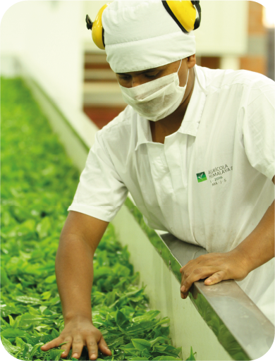 Recurso 8imagenes_ajustadas