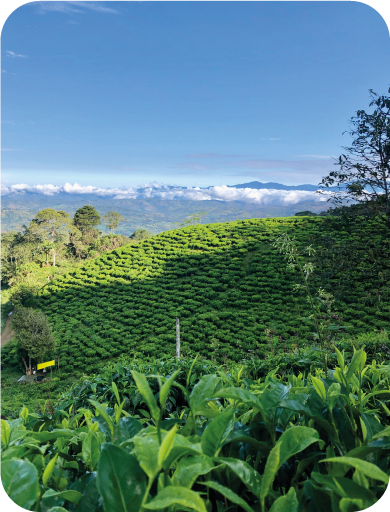 Recurso 9imagenes_ajustadas