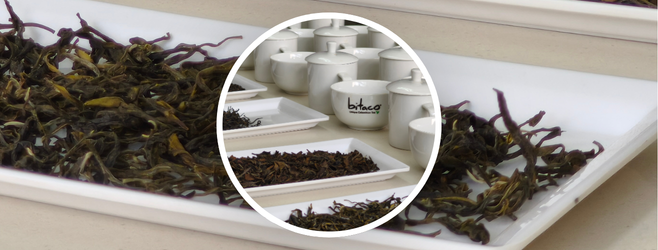 bitaco te Oolong
